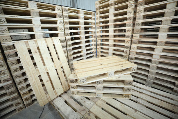 Eco-Friendly Pallet